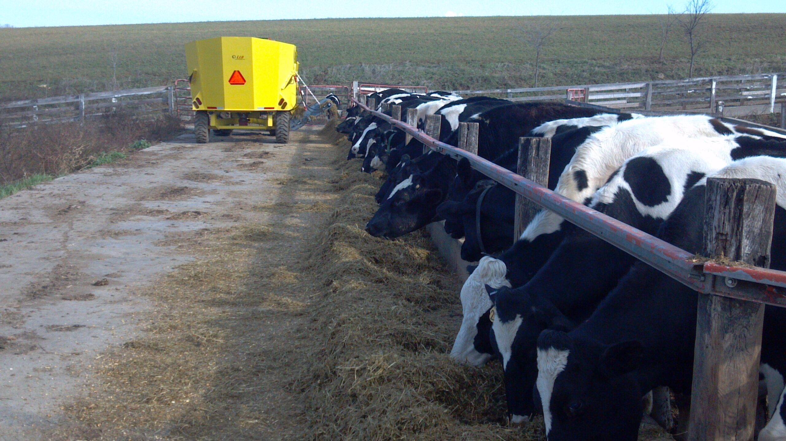 LEO%20Agriculture%20 %20Feed%20Mixer%20&%20Manure%20Spreader%20 