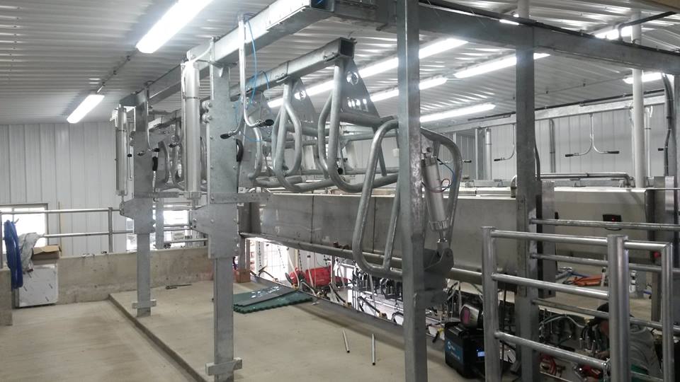 Parallel lift heavy duty stall — cow dividers raised in up position for rapid exit