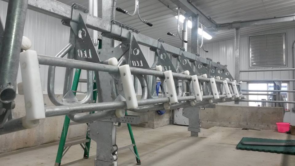 Parallel lift heavy duty stall — cow dividers in down position for milking